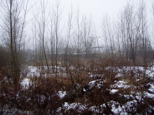 skladka-zezadu [17].jpg